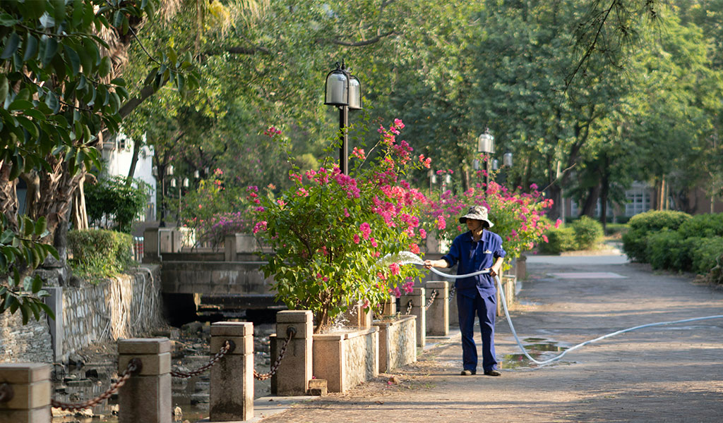 Accidentes Personales