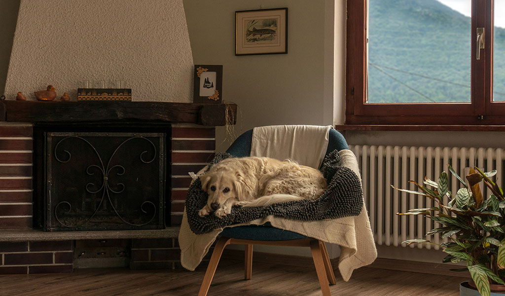 Caución de Alquiler